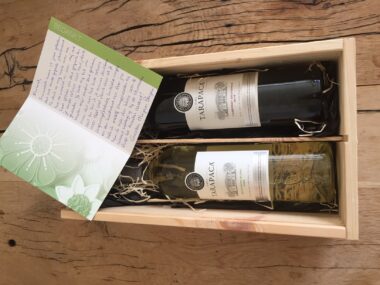 Persoonlijke ontwikkeling: - 